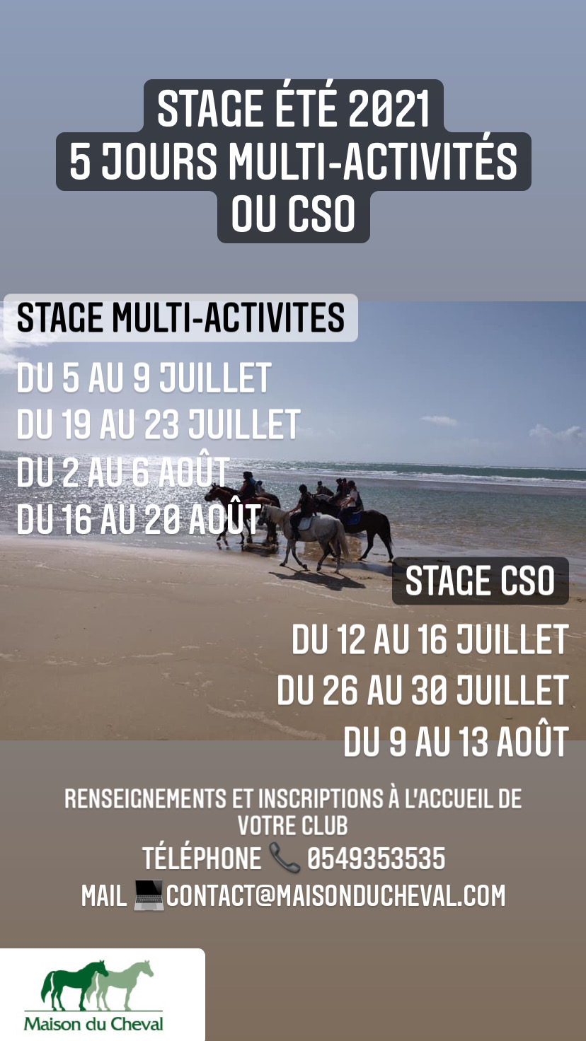 Bienvenue à la Maison du Cheval